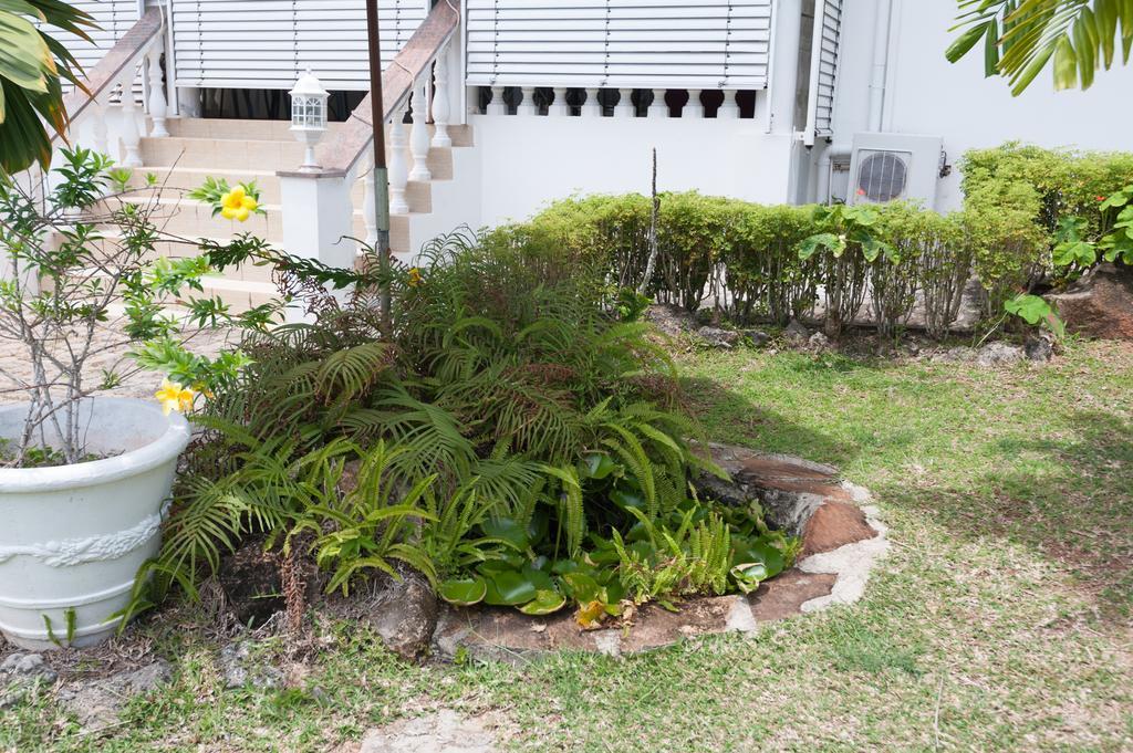 Villa Bel Age Anse Royale Exteriér fotografie