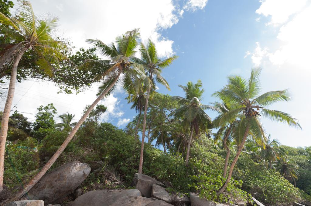 Villa Bel Age Anse Royale Exteriér fotografie